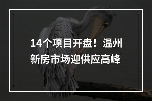 14个项目开盘！温州新房市场迎供应高峰