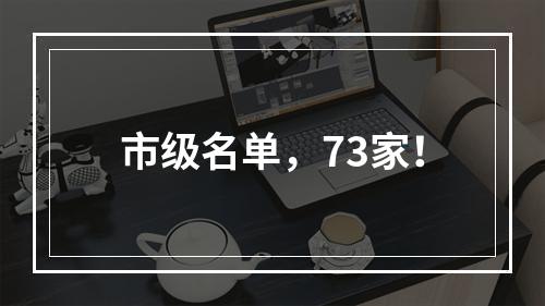 市级名单，73家！
