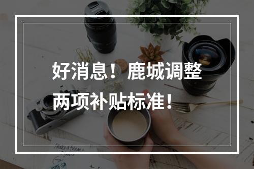 好消息！鹿城调整两项补贴标准！
