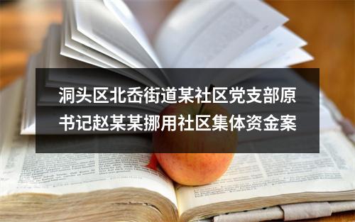 洞头区北岙街道某社区党支部原书记赵某某挪用社区集体资金案