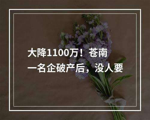 大降1100万！苍南一名企破产后，没人要
