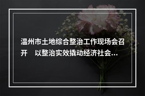 温州市土地综合整治工作现场会召开　以整治实效撬动经济社会高质量发展