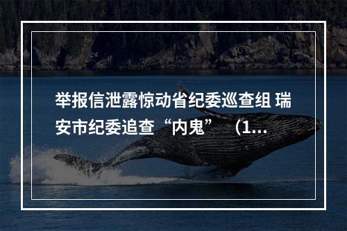 举报信泄露惊动省纪委巡查组 瑞安市纪委追查“内鬼” （1）