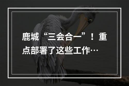 鹿城“三会合一”！重点部署了这些工作…