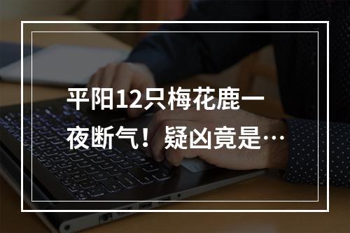 平阳12只梅花鹿一夜断气！疑凶竟是…