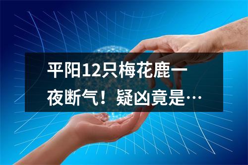 平阳12只梅花鹿一夜断气！疑凶竟是…