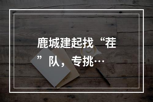 鹿城建起找“茬”队，专挑…