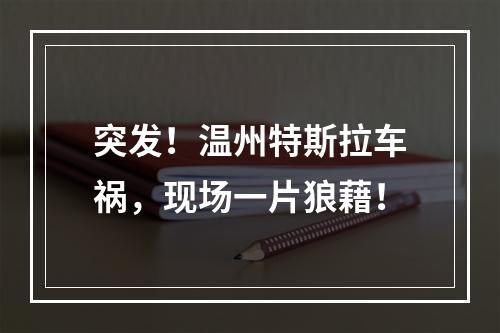 突发！温州特斯拉车祸，现场一片狼藉！