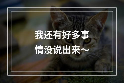 我还有好多事情没说出来～