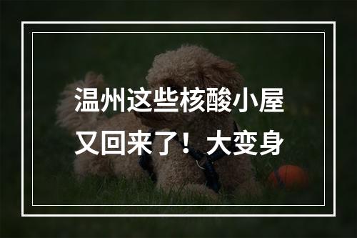 温州这些核酸小屋又回来了！大变身