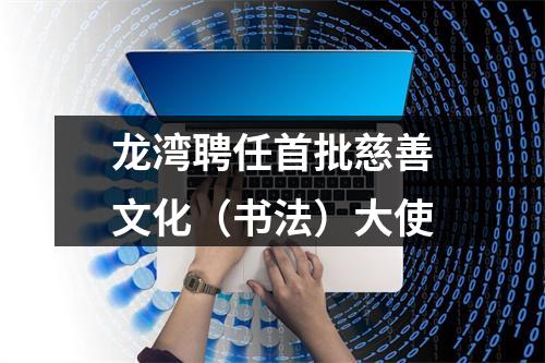 龙湾聘任首批慈善文化（书法）大使