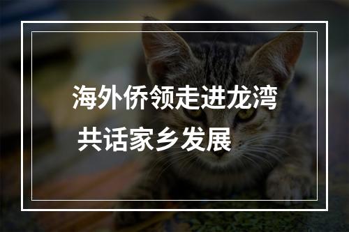 海外侨领走进龙湾 共话家乡发展