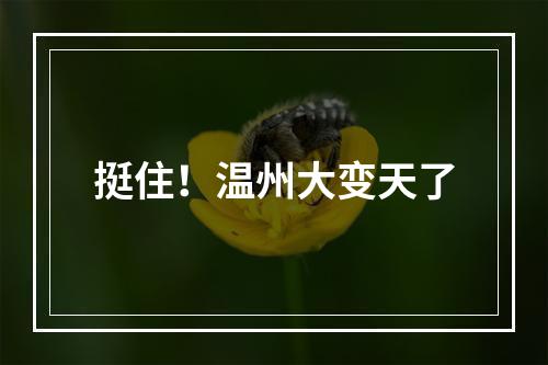挺住！温州大变天了
