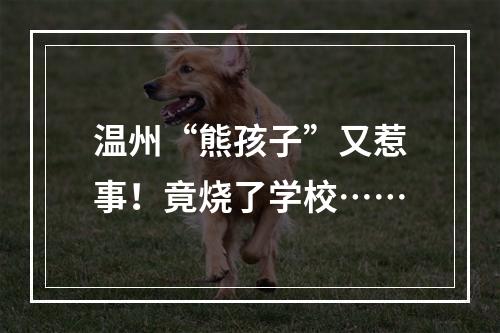 温州“熊孩子”又惹事！竟烧了学校……