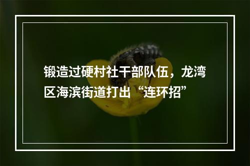 锻造过硬村社干部队伍，龙湾区海滨街道打出“连环招”