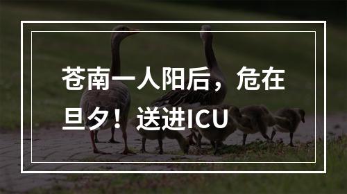 苍南一人阳后，危在旦夕！送进ICU