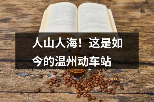 人山人海！这是如今的温州动车站