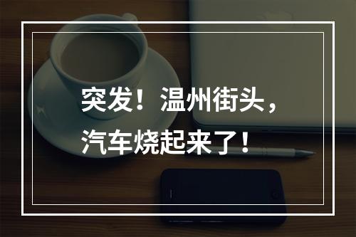 突发！温州街头，汽车烧起来了！