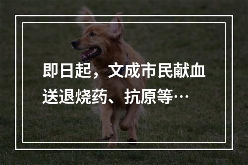 即日起，文成市民献血送退烧药、抗原等…