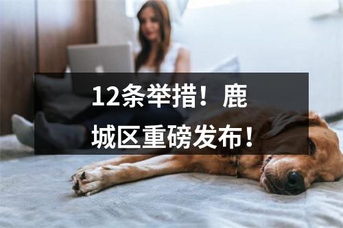 12条举措！鹿城区重磅发布！