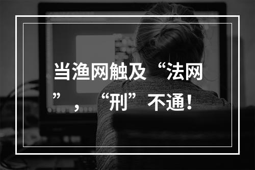 当渔网触及“法网”，“刑”不通！