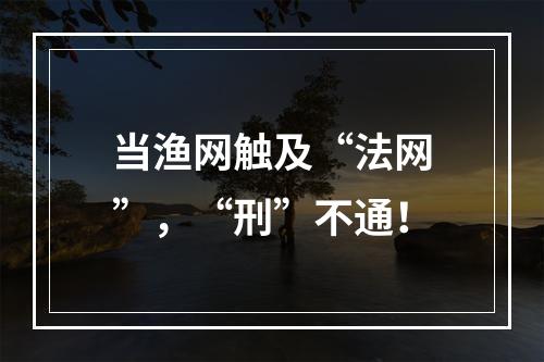 当渔网触及“法网”，“刑”不通！