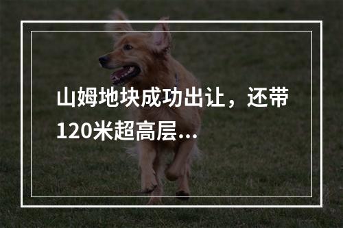 山姆地块成功出让，还带120米超高层...