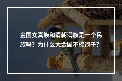 金国女真族和清朝满族是一个民族吗？为什么大金国不梳辫子？