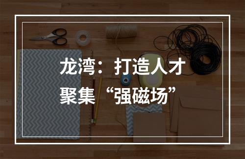 龙湾：打造人才聚集“强磁场”