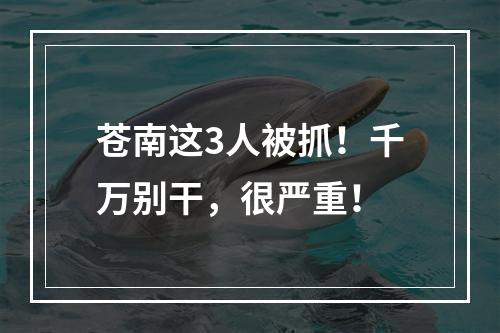 苍南这3人被抓！千万别干，很严重！