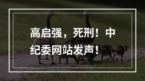 高启强，死刑！中纪委网站发声！