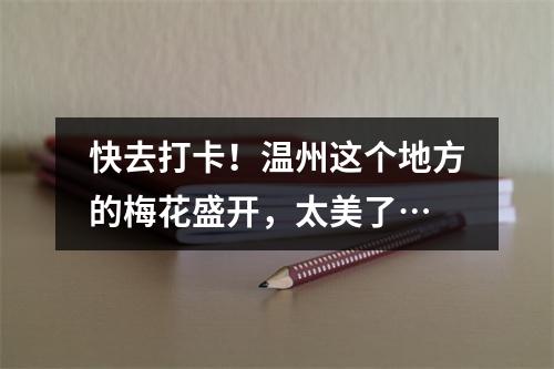 快去打卡！温州这个地方的梅花盛开，太美了…