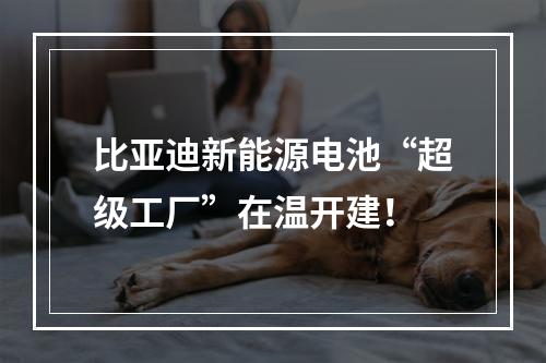 比亚迪新能源电池“超级工厂”在温开建！