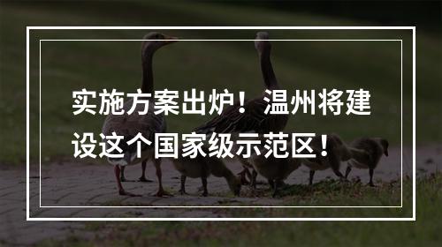 实施方案出炉！温州将建设这个国家级示范区！