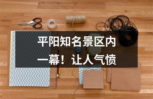 平阳知名景区内一幕！让人气愤