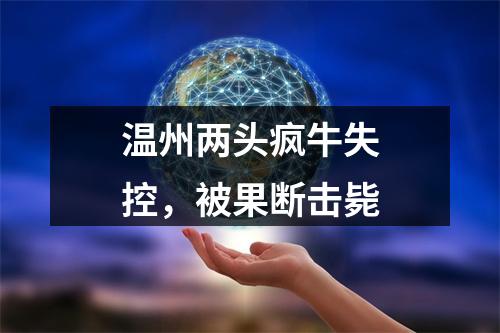 温州两头疯牛失控，被果断击毙