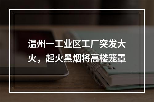 温州一工业区工厂突发大火，起火黑烟将高楼笼罩