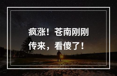 疯涨！苍南刚刚传来，看傻了！