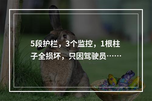 5段护栏，3个监控，1根柱子全损坏，只因驾驶员……
