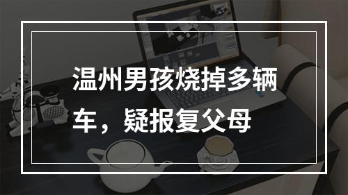 温州男孩烧掉多辆车，疑报复父母