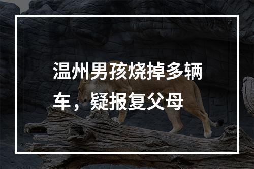 温州男孩烧掉多辆车，疑报复父母