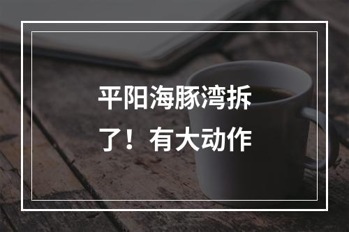 平阳海豚湾拆了！有大动作