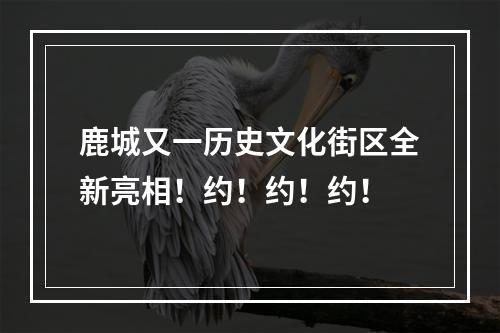 鹿城又一历史文化街区全新亮相！约！约！约！