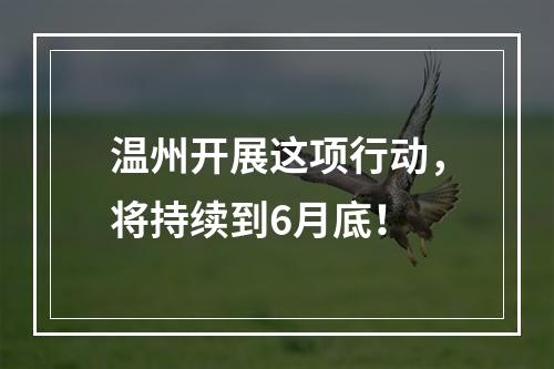 温州开展这项行动，将持续到6月底！