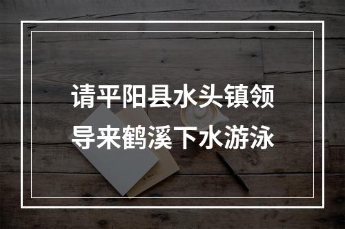 请平阳县水头镇领导来鹤溪下水游泳