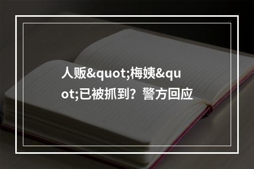 人贩"梅姨"已被抓到？警方回应