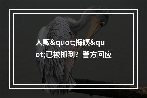 人贩"梅姨"已被抓到？警方回应