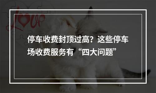 停车收费封顶过高？这些停车场收费服务有“四大问题”