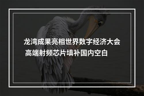 龙湾成果亮相世界数字经济大会 高端射频芯片填补国内空白