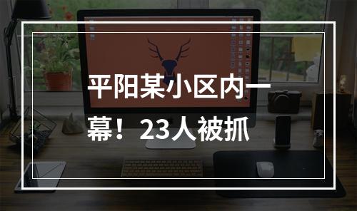 平阳某小区内一幕！23人被抓